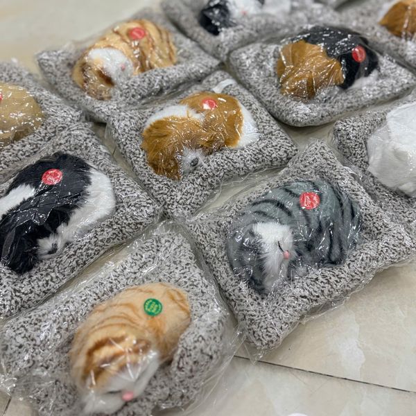 Mèo nằm có âm thanh size bé 16cm