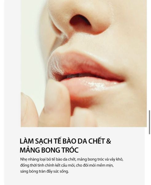 Son Dưỡng Thuần Chay Su:m37 Skin Stay Moisture Lipcerin 15ml