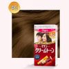 Thuốc Nhuộm Phủ Bạc Tóc Bigen Cream Tone  Nhật Bản