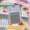 XIXI Mi Giả Cụm 10 Hàng