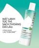 (CÔNG TY) Dung Dịch Vệ Sinh Phụ Nữ Lactacyd Ngăn Mùi 24H 250ml