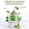 Mặt Nạ đất sét bùn khoáng Colorkey Luminous Green Tea Purifying Cleansing Clay 60g