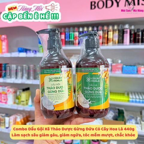 Combo dầu gội xả thảo dược Gừng Dừa Cỏ Cây Hoa Lá 440g