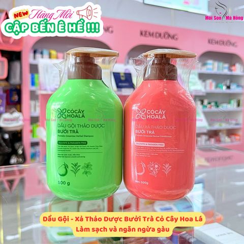 Combo Gội Xả Thảo Dược Bưởi Trà 500g