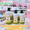 Dầu Gội Xả Suôn Mượt Tinh Dầu Argan Morocco NATUFRES Moroccan Secret