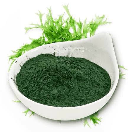 Bột tảo xoắn Cối bột cari