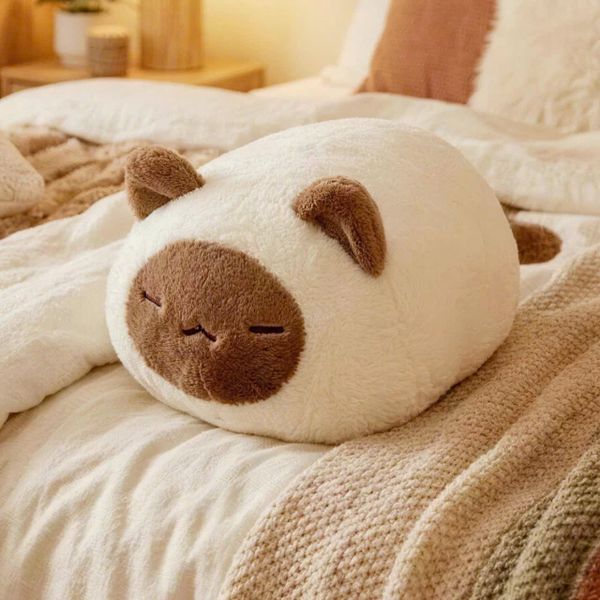 Mèo bánh mỳ béo 75cm
