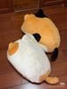 Mèo bánh mỳ béo 75cm