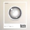 Lens 1 ngày - Kính áp tròng Smoky Bloom mang tông xám khói pha nâu lạnh, tạo hiệu ứng mắt sâu và cuốn hút.