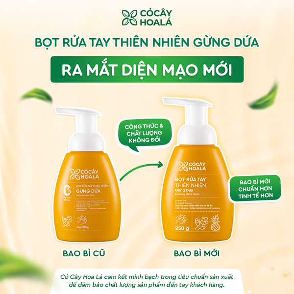 Bọt Rửa Tay Thiên Nhiên Gừng Dứa 250g Cỏ Cây Hoa Lá
