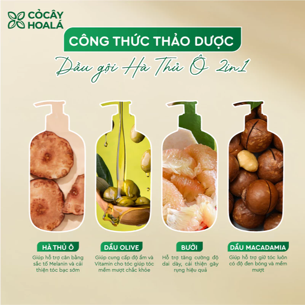 Dầu Gội Thảo Dược Hà Thủ Ô Cỏ Cây Hoa Lá Nuôi Dưỡng Và Cải Thiện Tình Trạng Bạc Tóc 300g