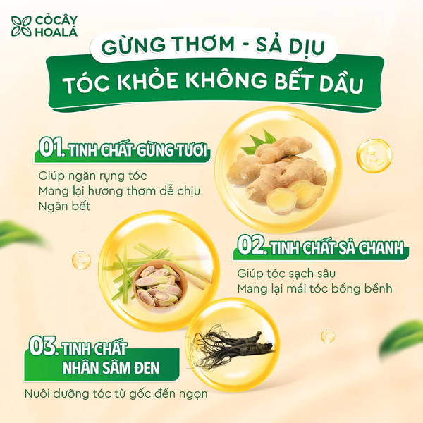 Dầu Gội Thảo Dược Gừng Sả Cỏ Cây Hoa Lá Ngăn Ngừa Gàu Và Giảm Gãy Rụng 500g