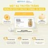 (Hộp 30 miếng) Mặt Nạ Giấy Dưỡng ẩm Wonjin Effect Concentrated Essence Mask 350g