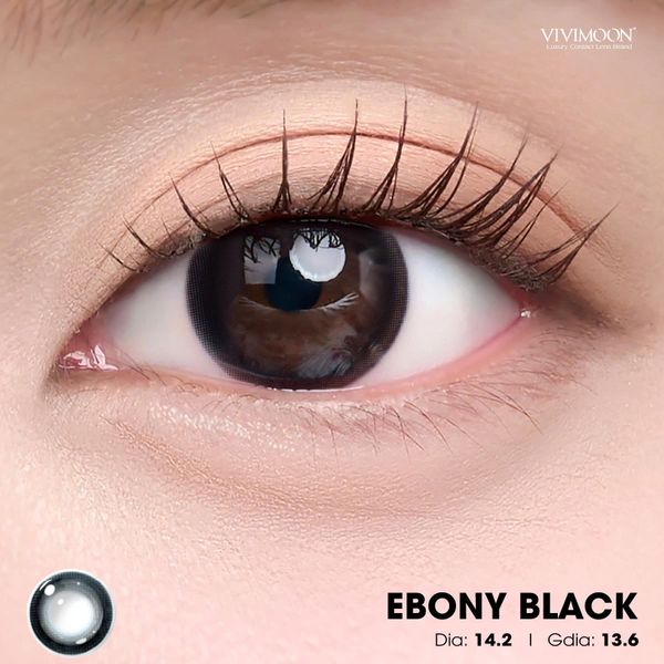Lens 1 ngày - Kính áp tròng Ebony Black - Đen tuyền baby, long lanh và huyền bí