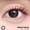 Lens 1 ngày - Kính áp tròng Ebony Black - Đen tuyền baby, long lanh và huyền bí