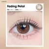 Vivimoon 1 bên Lens cho mắt thở 6 tháng Fading Petal - 0 độ