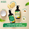 Combo dầu gội xả thảo dược Gừng Dừa Cỏ Cây Hoa Lá 440g