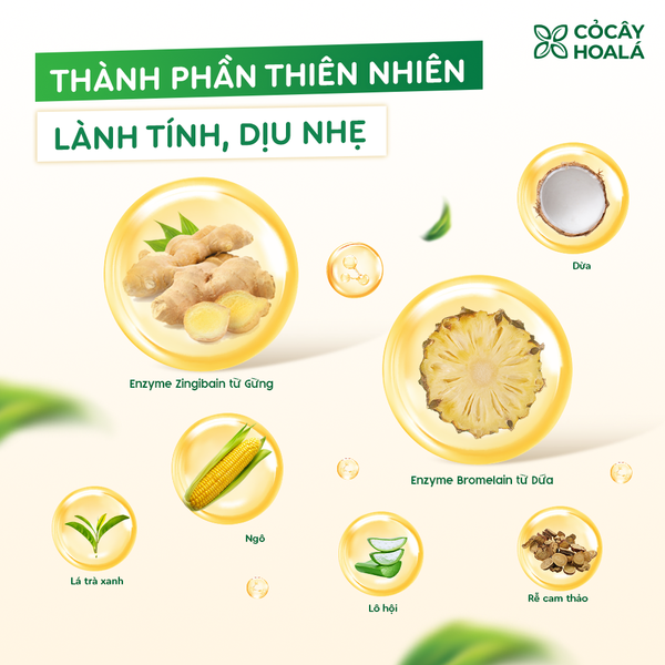 Bọt Rửa Tay Thiên Nhiên Gừng Dứa 250g Cỏ Cây Hoa Lá