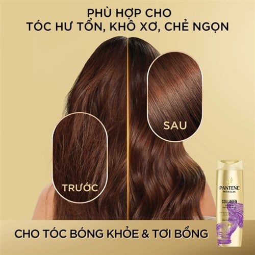 Dầu gội phục hồi hư tổn Pantene Miracles Collagen Repair Silicone-Free 300ml