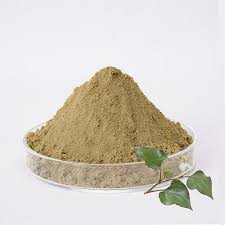Bột Diếp Cá Milaganics Giảm Mụn, Mờ Vết Thâm 100g Houttuynia Cordata Powder