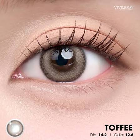 Lens 1 ngày Kính áp tròng Toffee - Nâu Caramel Khói với độ cận từ 0.00 đến -5.00 độ.