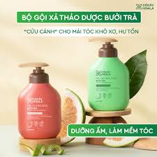 Combo Gội Xả Thảo Dược Bưởi Trà 500g