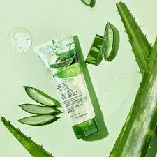 Gel Rửa Mặt Nha Đam The Face Shop Jeju Aloe Fresh Soothing Foam Cleanser (150ml)