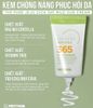 Kem Chống Nắng Chiết Xuất Rau Má Pretty Skin The Pure Jeju Cica 365 Mild Sun Cream 50ml