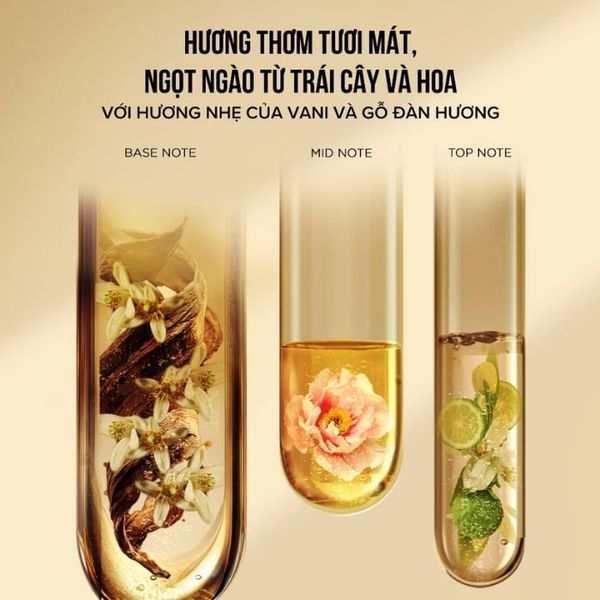 Mặt Nạ Ủ Tóc Pantene Miracles Phục Hồi Liên Kết Tóc 300ml Miracles Intensive Treatment Mask