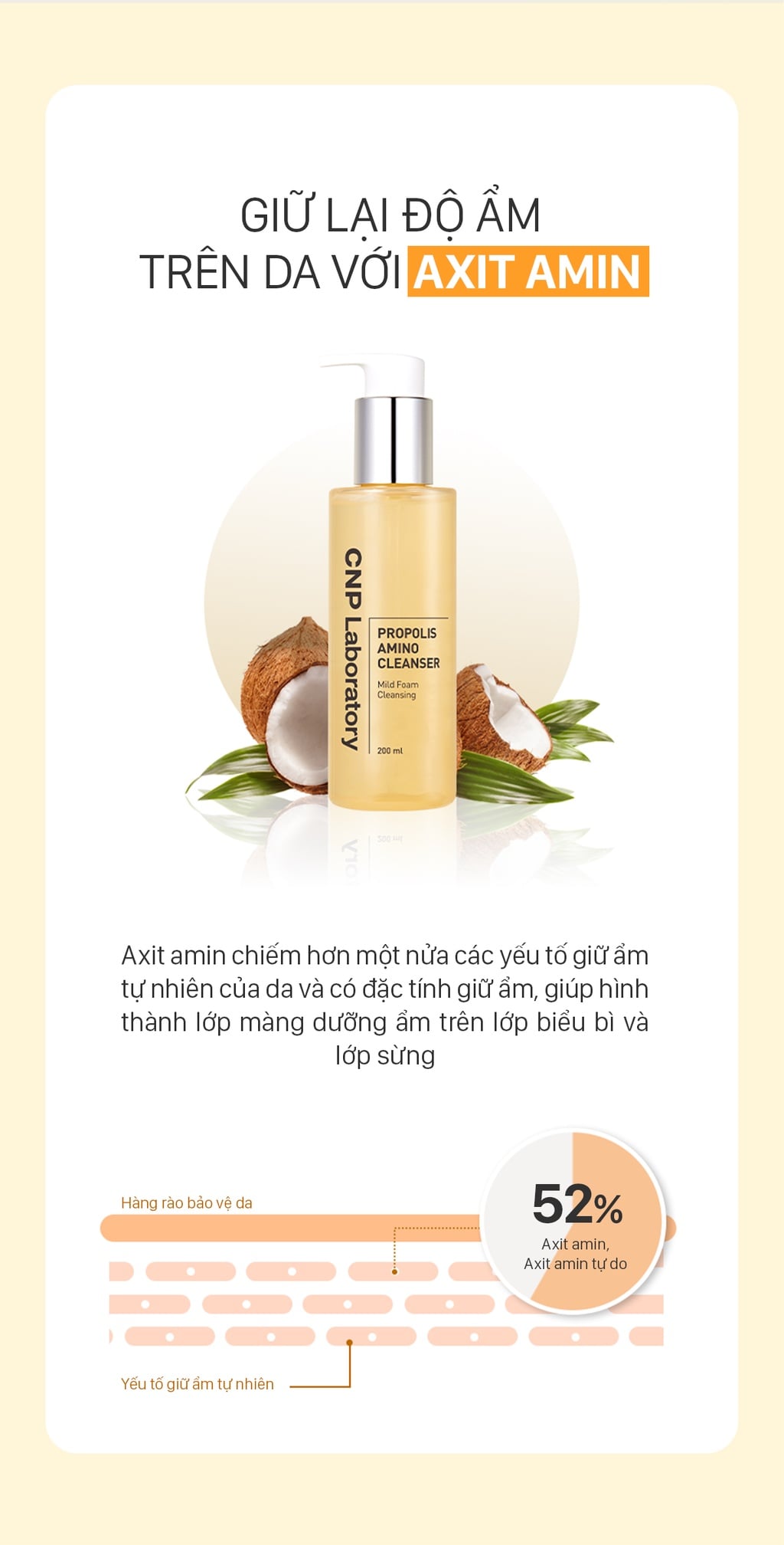 (CÔNG TY) Sữa Rửa Mặt Keo Ong Cấp Ẩm CNP Laboratory Propolis Amino Cleanser 31ml