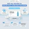 (Hộp 30 miếng) Mặt Nạ Giấy Dưỡng ẩm Wonjin Effect Concentrated Essence Mask 350g