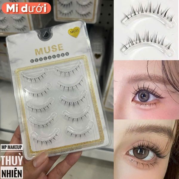 Lông Mi Giả Muse