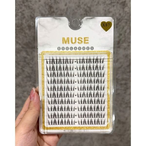Lông Mi Giả Muse