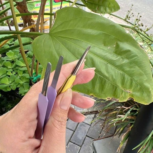 Nhíp Lông Mi Thẳng #Vàng #tím