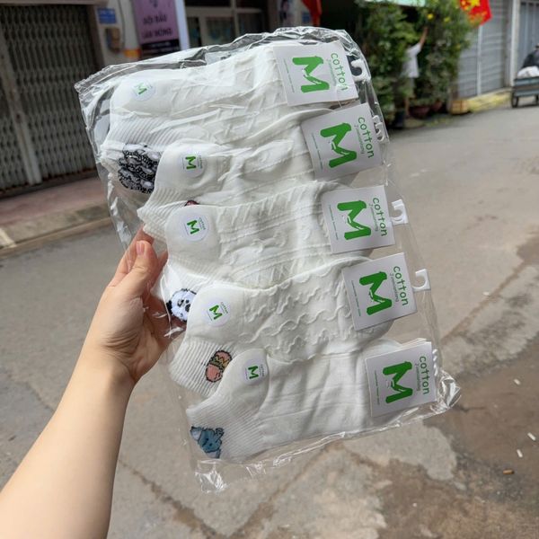 Tất ngắn nhiều kiểu