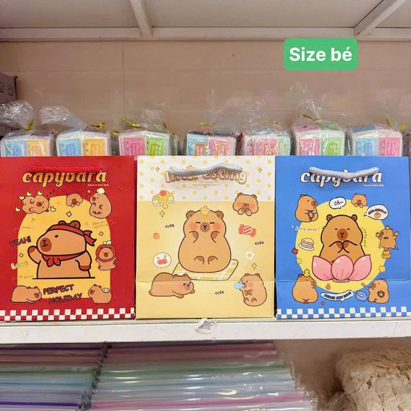 Túi quà dọc size 17x14.5x10cm