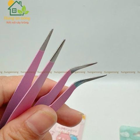 Set 2 nhíp my tag hoa gấu