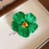 Kẹp mỏ vịt hoa dăm bụt
