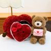 Hộp quà tim và Teddy thiệp 35cm