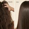Dầu Gội Xả Suôn Mượt Tinh Dầu Argan Morocco NATUFRES Moroccan Secret