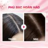 Thuốc Nhuộm Phủ Bạc Tóc Bigen Cream Tone  Nhật Bản