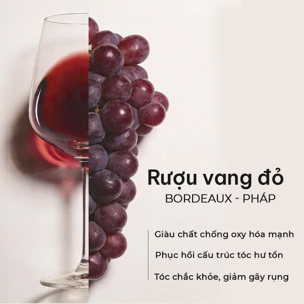 Dầu Gội Xả Phục Hồi Hư Tổn Vang Đỏ Pháp NATUFRES French Chic