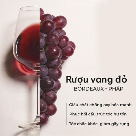 Dầu Gội Xả Phục Hồi Hư Tổn Vang Đỏ Pháp NATUFRES French Chic