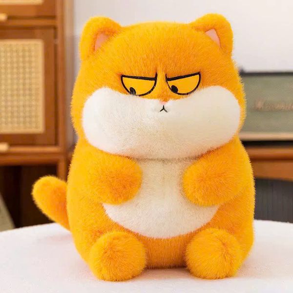 Mèo mắt liếc 25cm m27