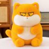 Mèo mắt liếc 25cm m27