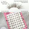 MaiDew Mi Giả Sẵn Keo 8 Hàng Mi Cáo Nhạt - MAID02