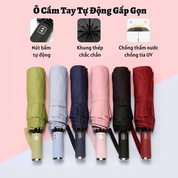 Ô dù tự động 12 nan