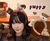 Cài gấu nâu da báo lucky