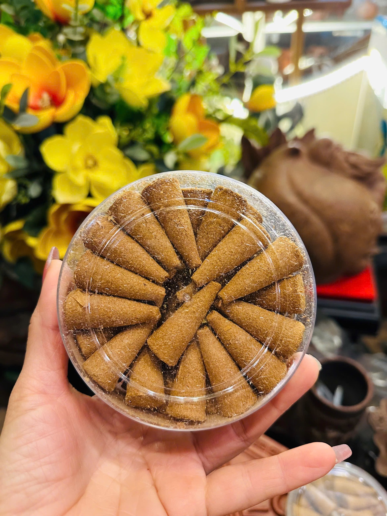 Nụ trầm Hoàng Đàn loại 1 – Hương thơm tự nhiên, an thần, thanh tịnh