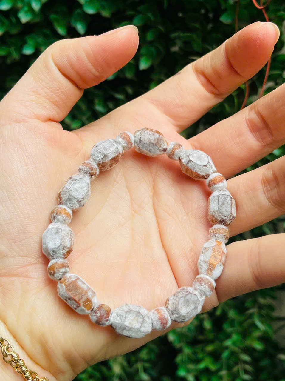 Vòng tay hoàng đàn tuyết 10 ly Lạng Sơn – gỗ quý thấu quang